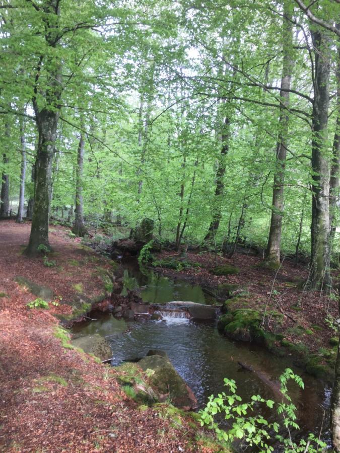 Doevared Tvååker Buitenkant foto