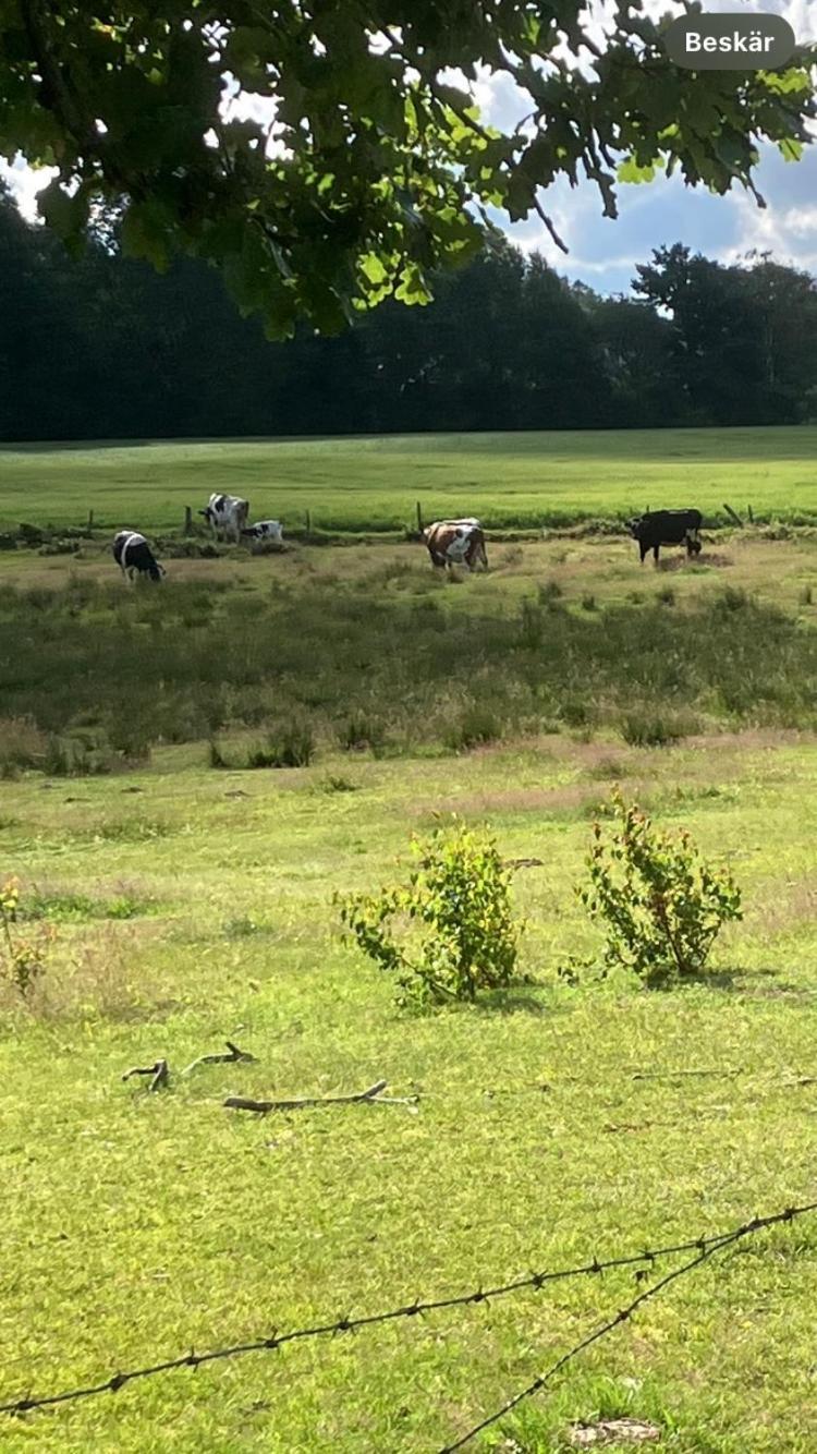 Doevared Tvååker Buitenkant foto